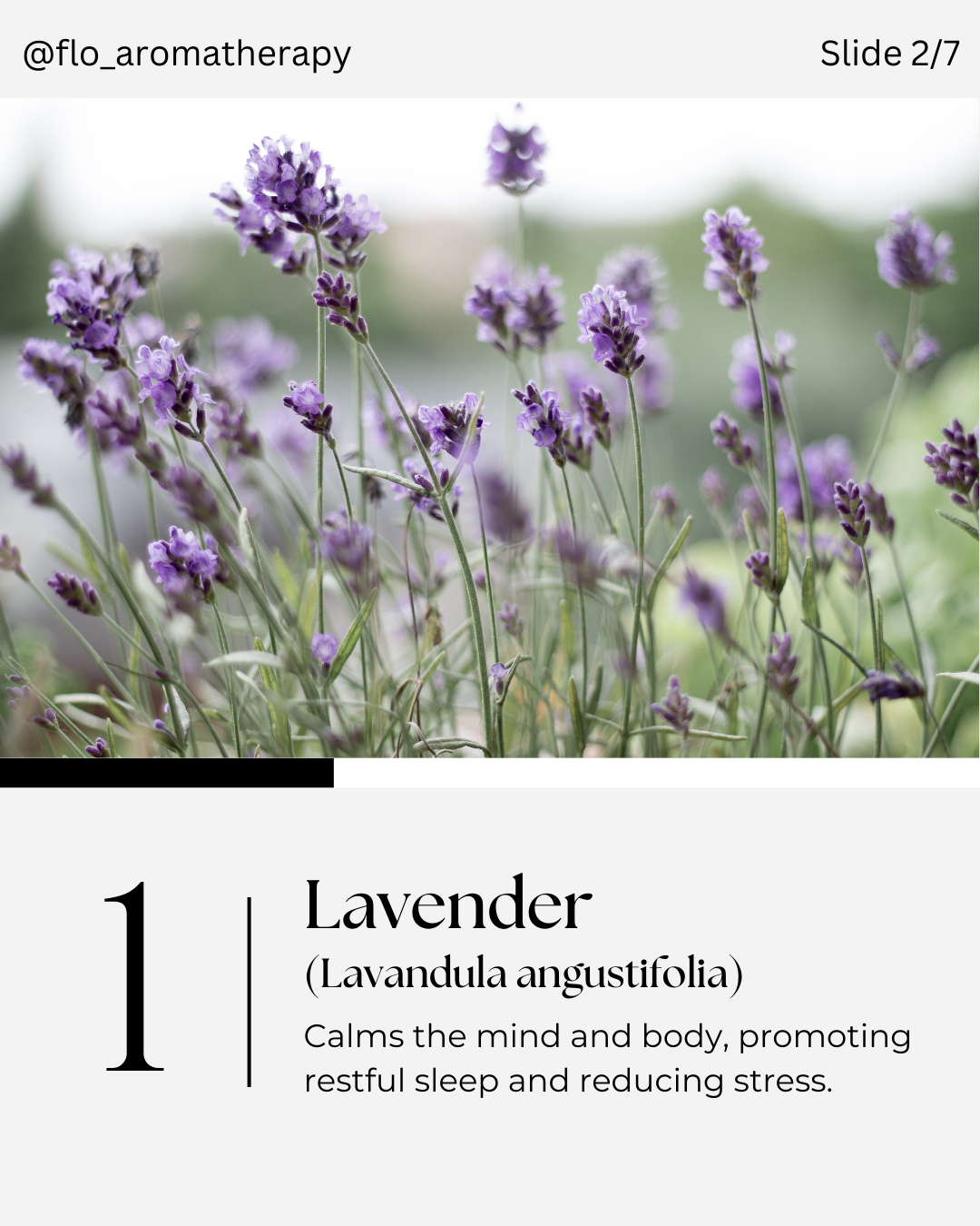 5 Essential Oils slide 2