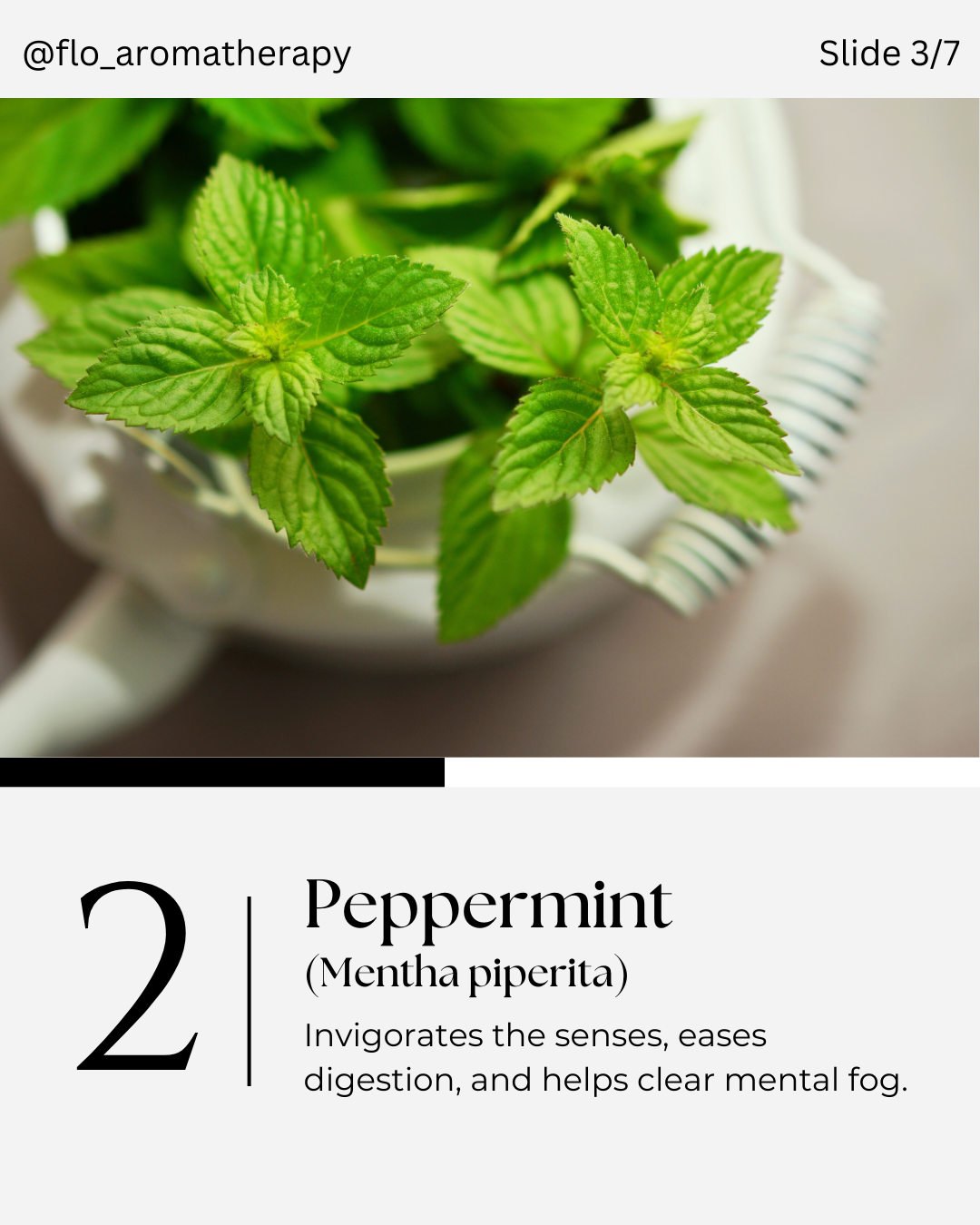 5 Essential Oils slide 3