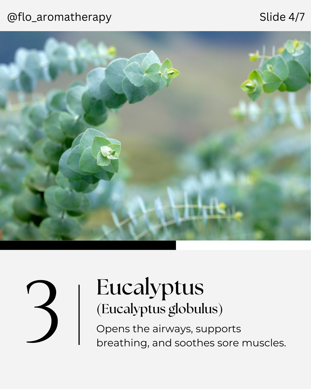 5 Essential Oils slide 4