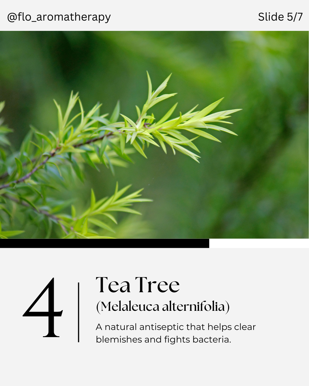 5 Essential Oils slide 5