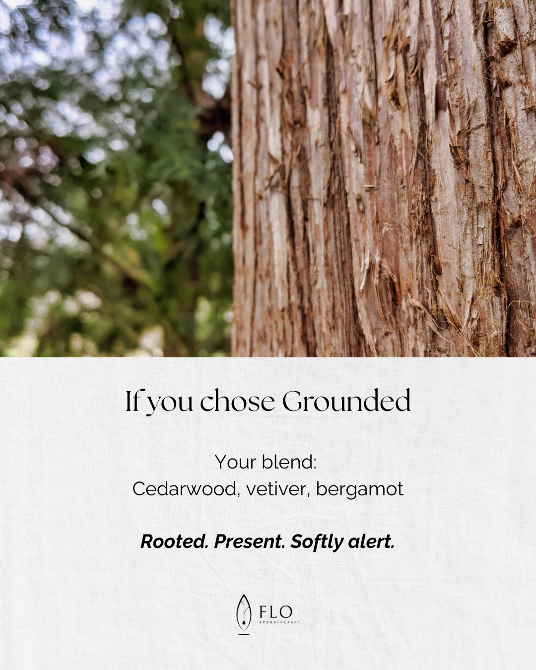 Choose Your Blend slide 3