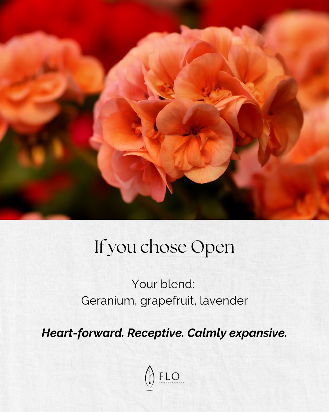 Choose Your Blend slide 4