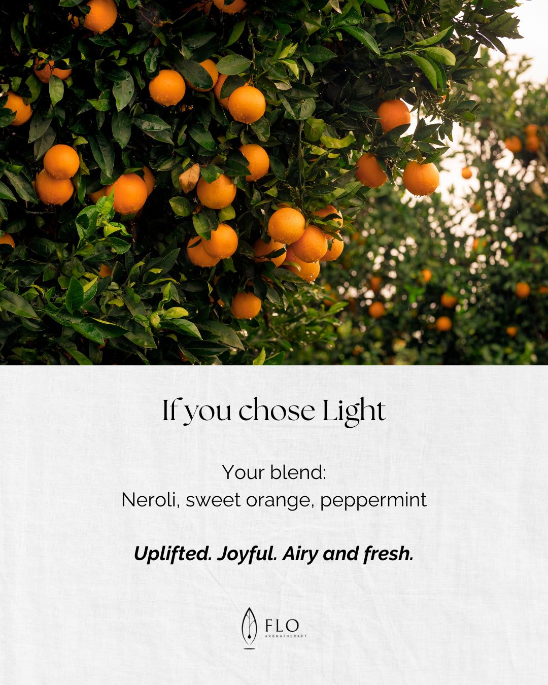 Choose Your Blend slide 6