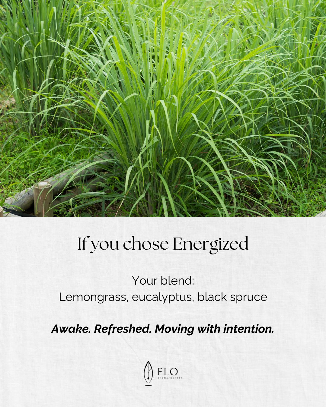 Choose Your Blend slide 8