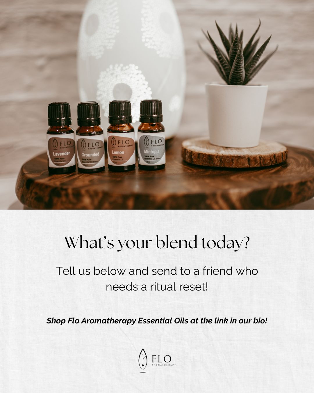 Choose Your Blend slide 9