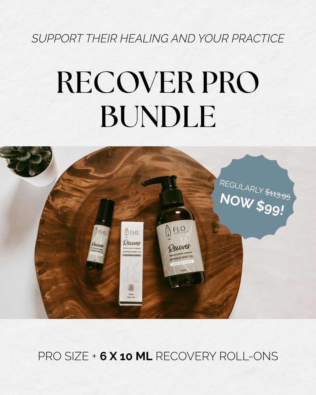 Recover Pro Bundle slide 1