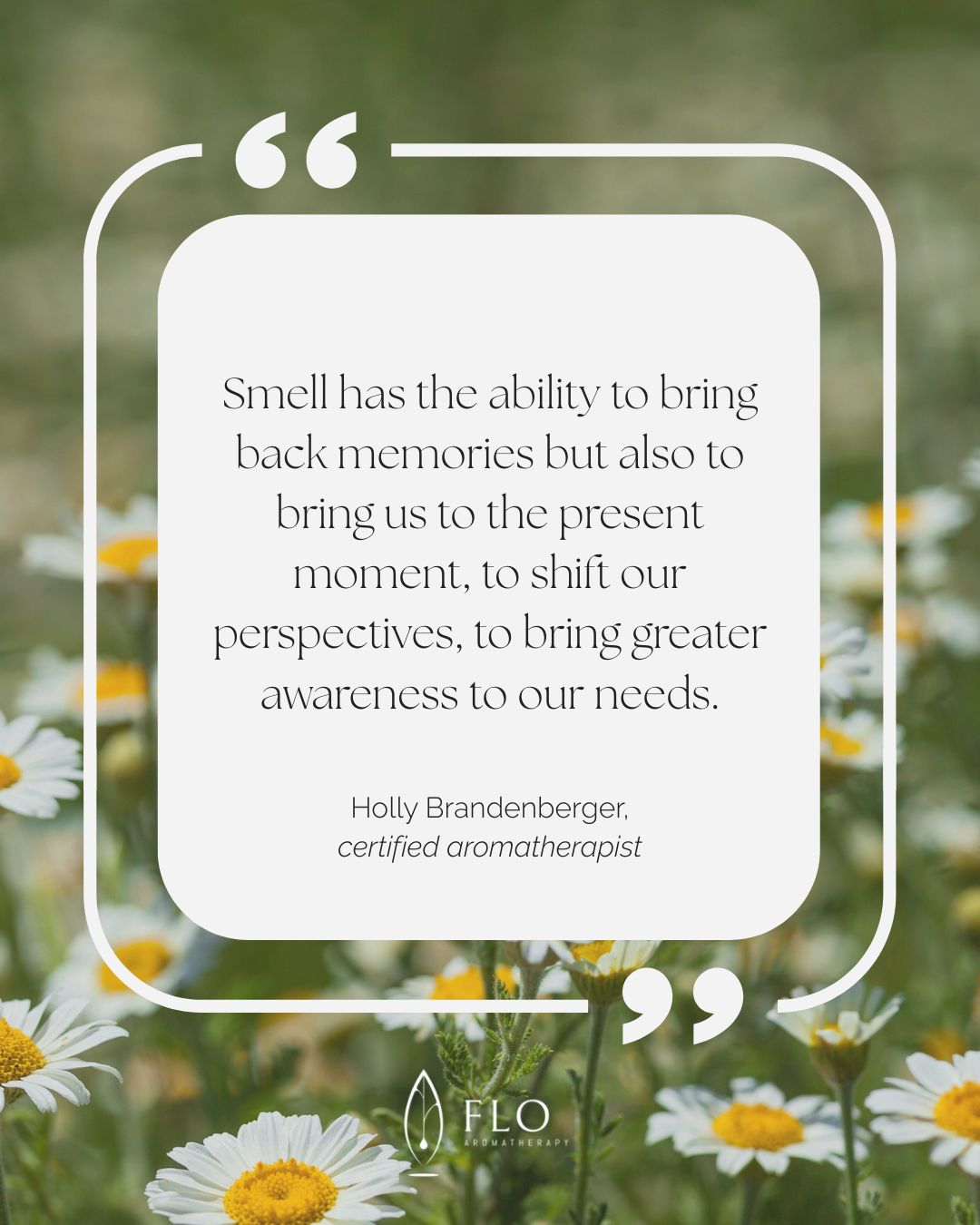 Scent creates space quote